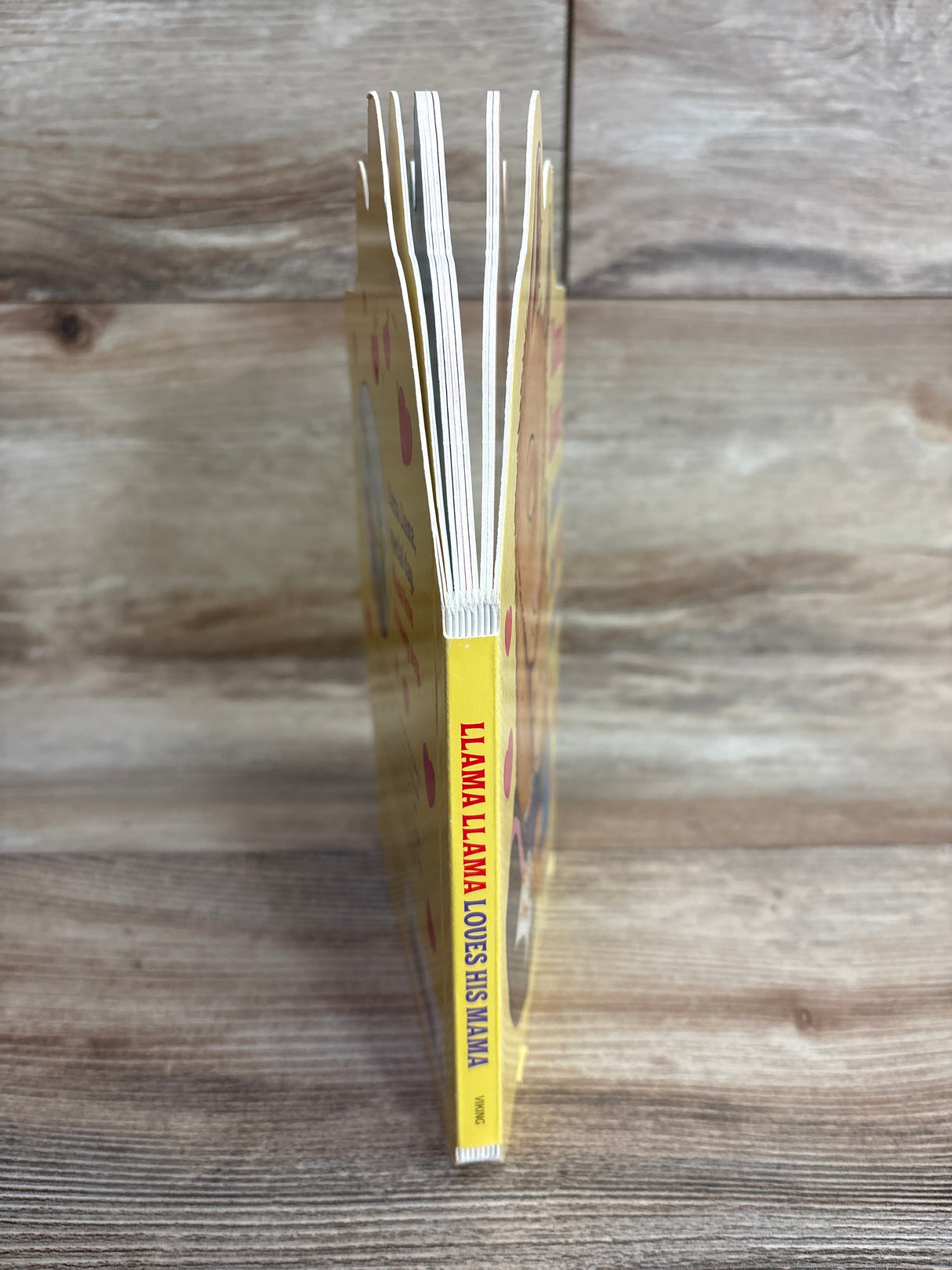 Llama Llama Loves His Mama Board Book