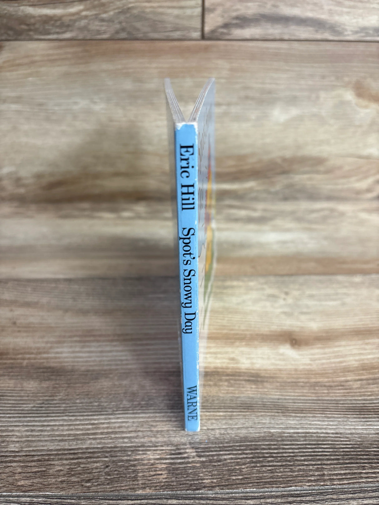 Spot's Snowy Day Board Book