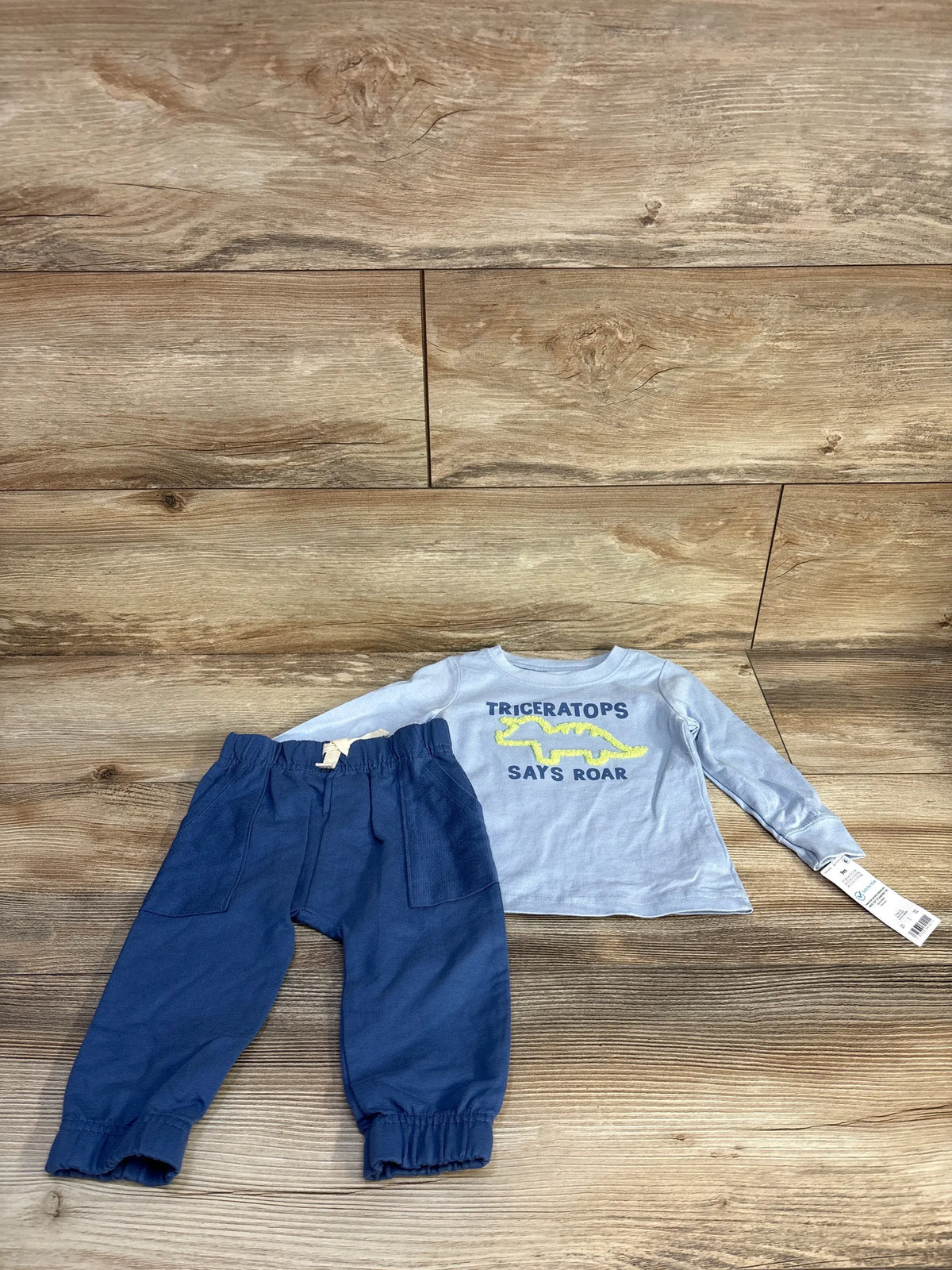 Flat lay of blue triceratops shirt and coordinating pants set showcasing Says Roar graphic on a wood background