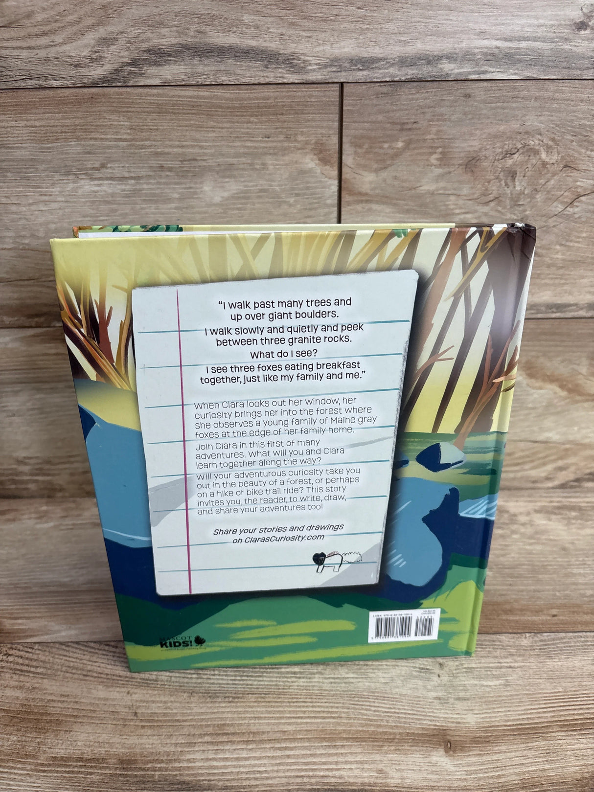 Back cover of a children’s book featuring text and an illustration of a forest scene with foxes by a pond on wood background