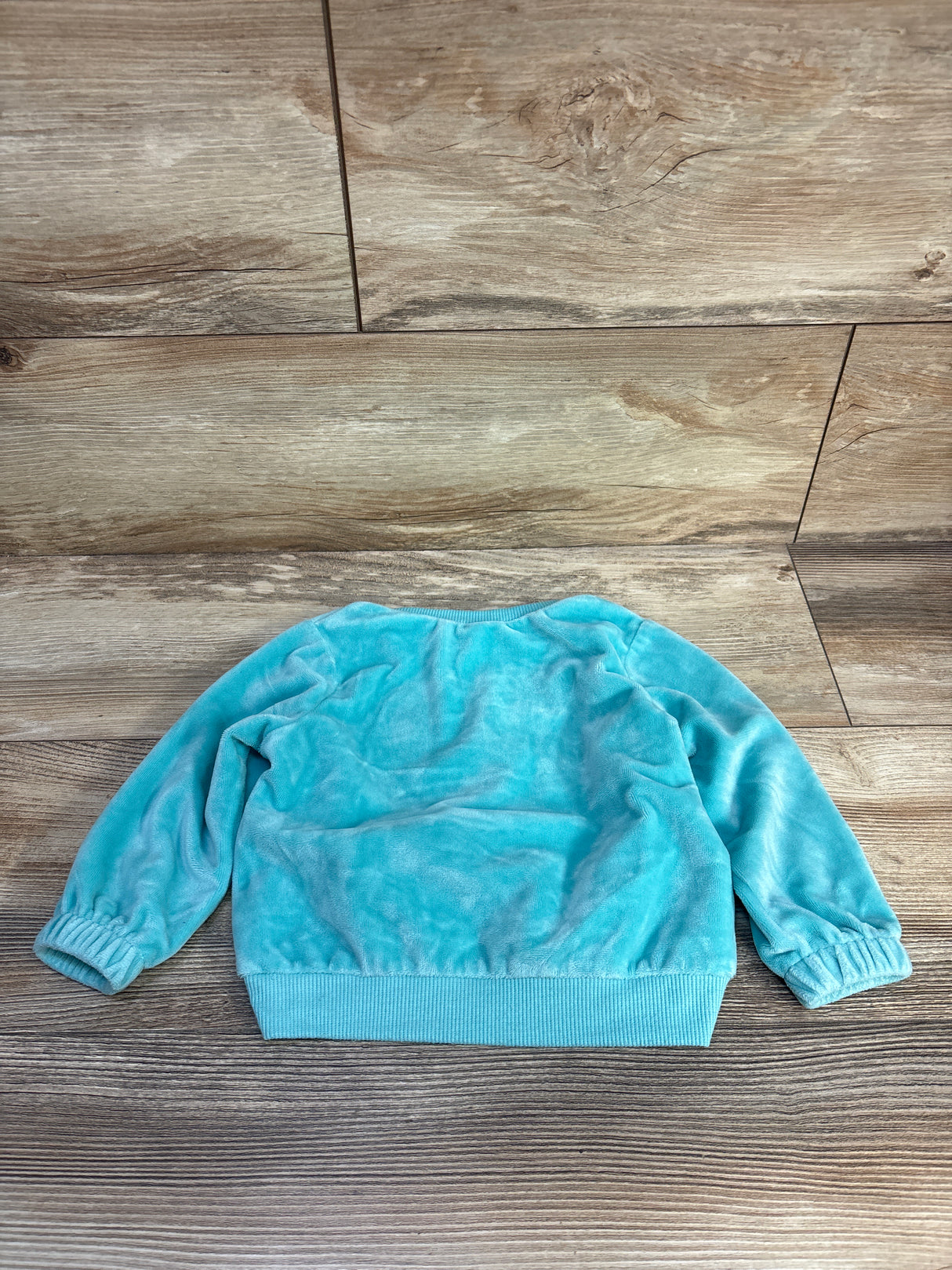 Disney Princess Sweatshirt Teal sz 18m