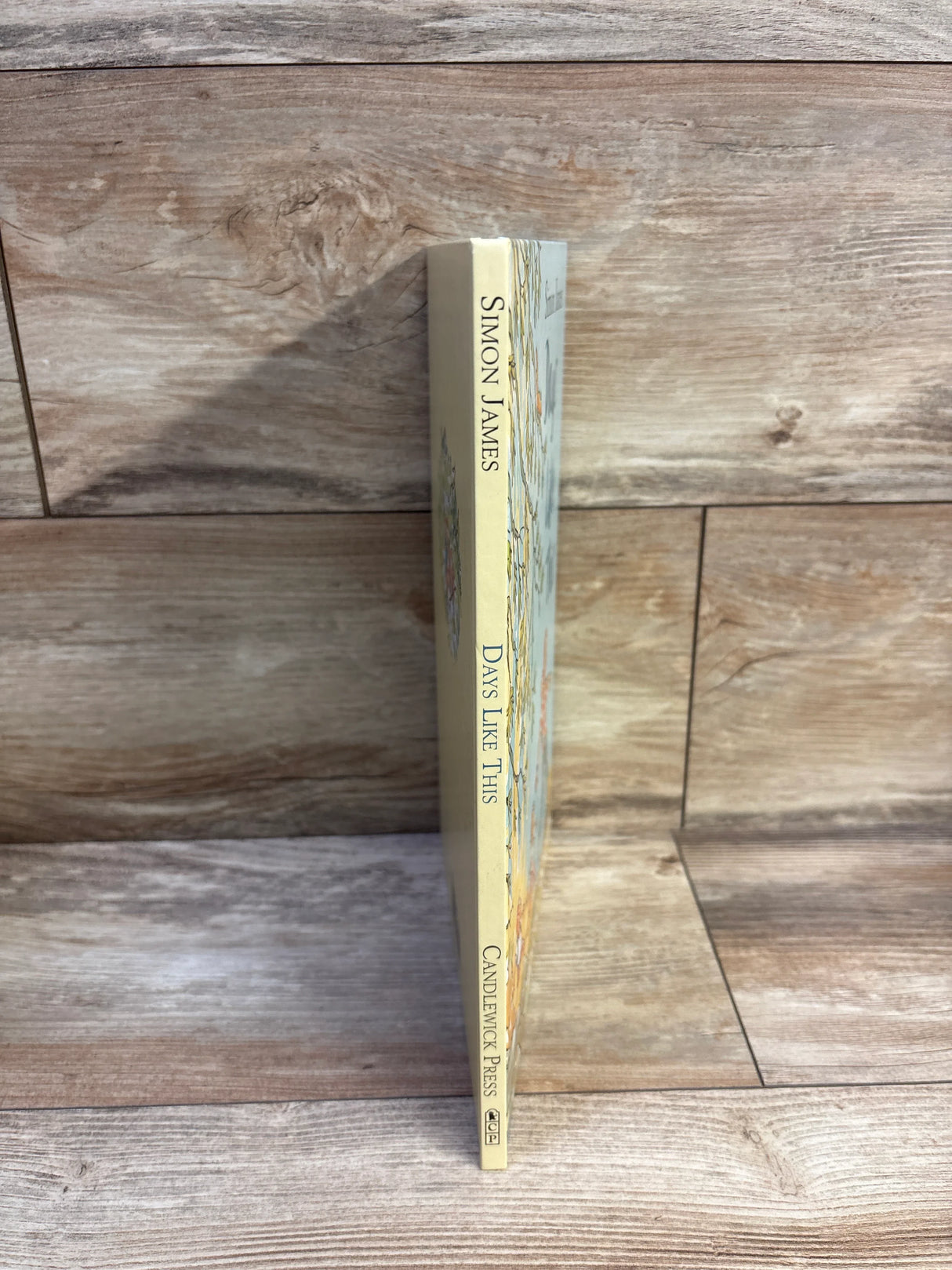 Days Like This Hardcover Book