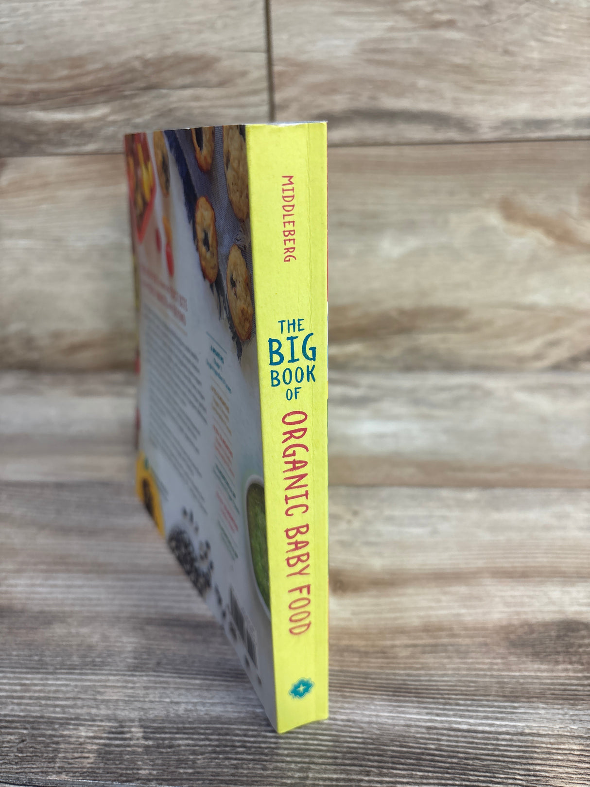 The Big Book of Organic Baby Food Paperback Book