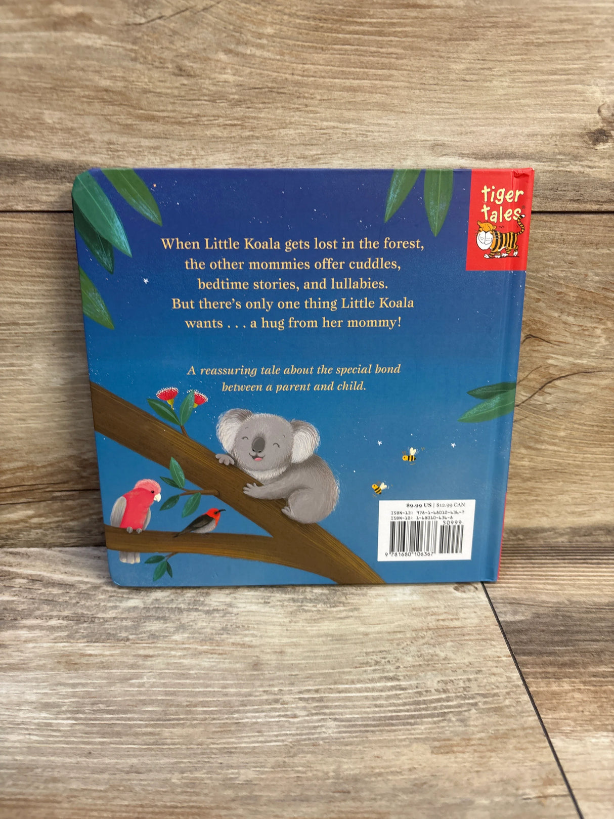 Cuddle Close, Little Koala Board Book