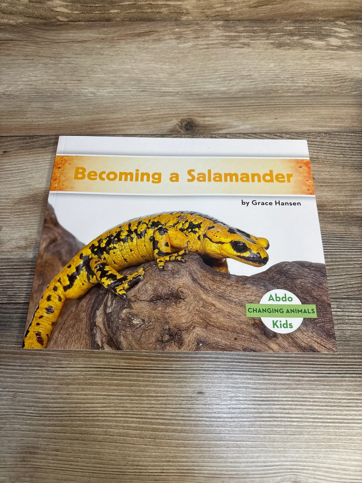 Children's book Becoming a Salamander on wood table, featuring bright yellow salamander cover
