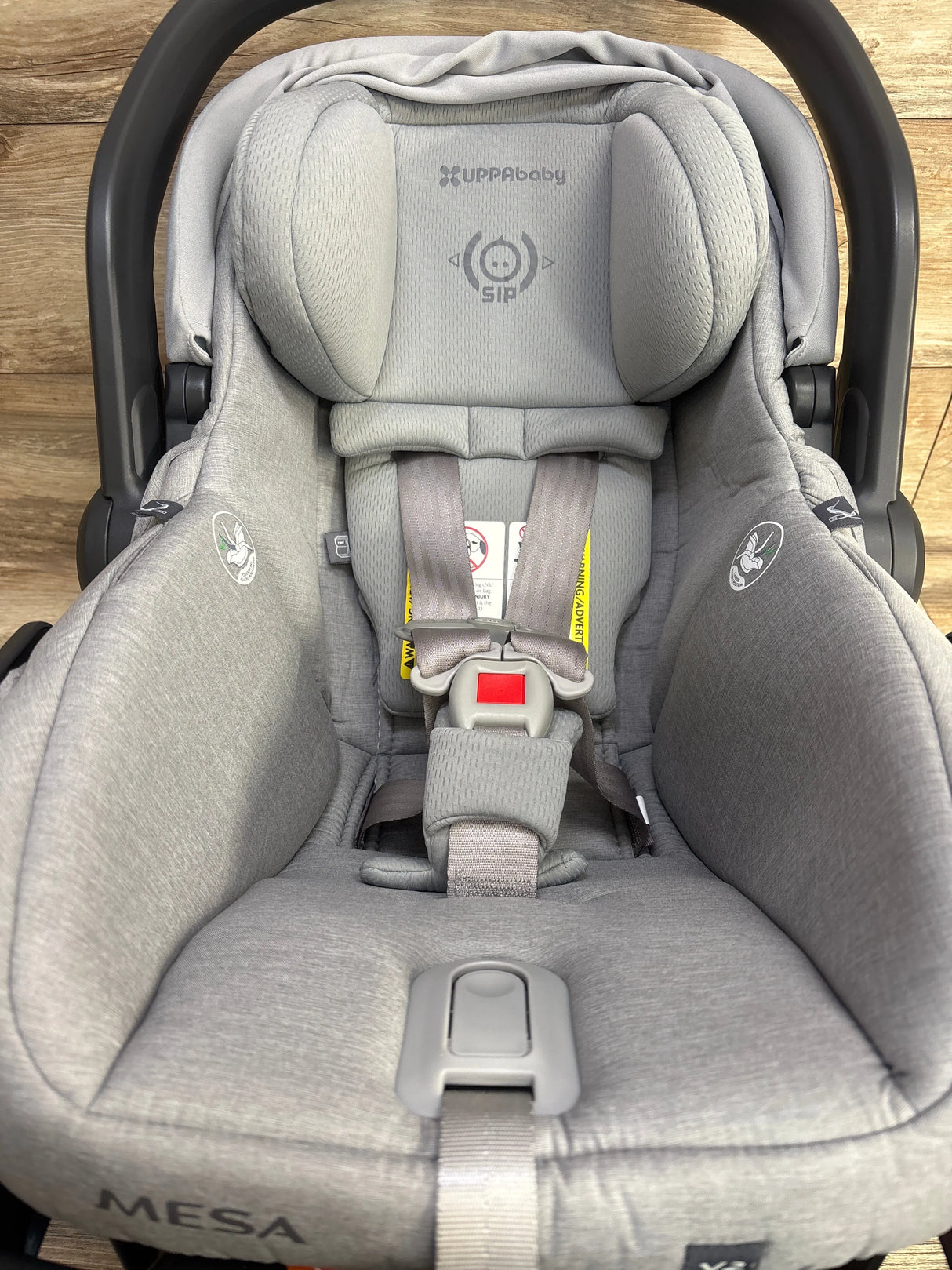 UPPAbaby Mesa V2 Infant Car Seat in Stella 4-35lbs.