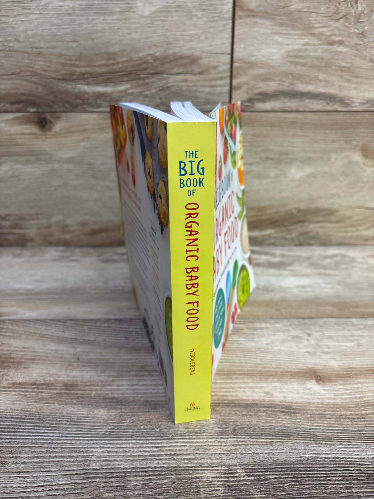 The Big Book of Organic Baby Food Paperback Book