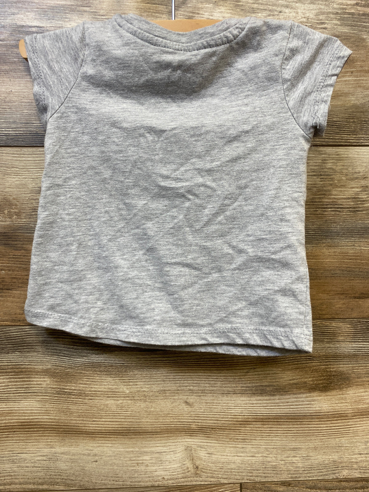 Gabby's Dollhouse Shirt Grey sz 2T
