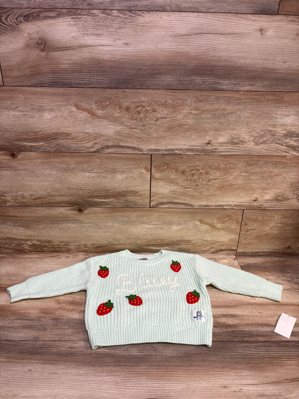 NEW Bluey Embroidered Strawberry Knit Sweater Mint Green sz 3T