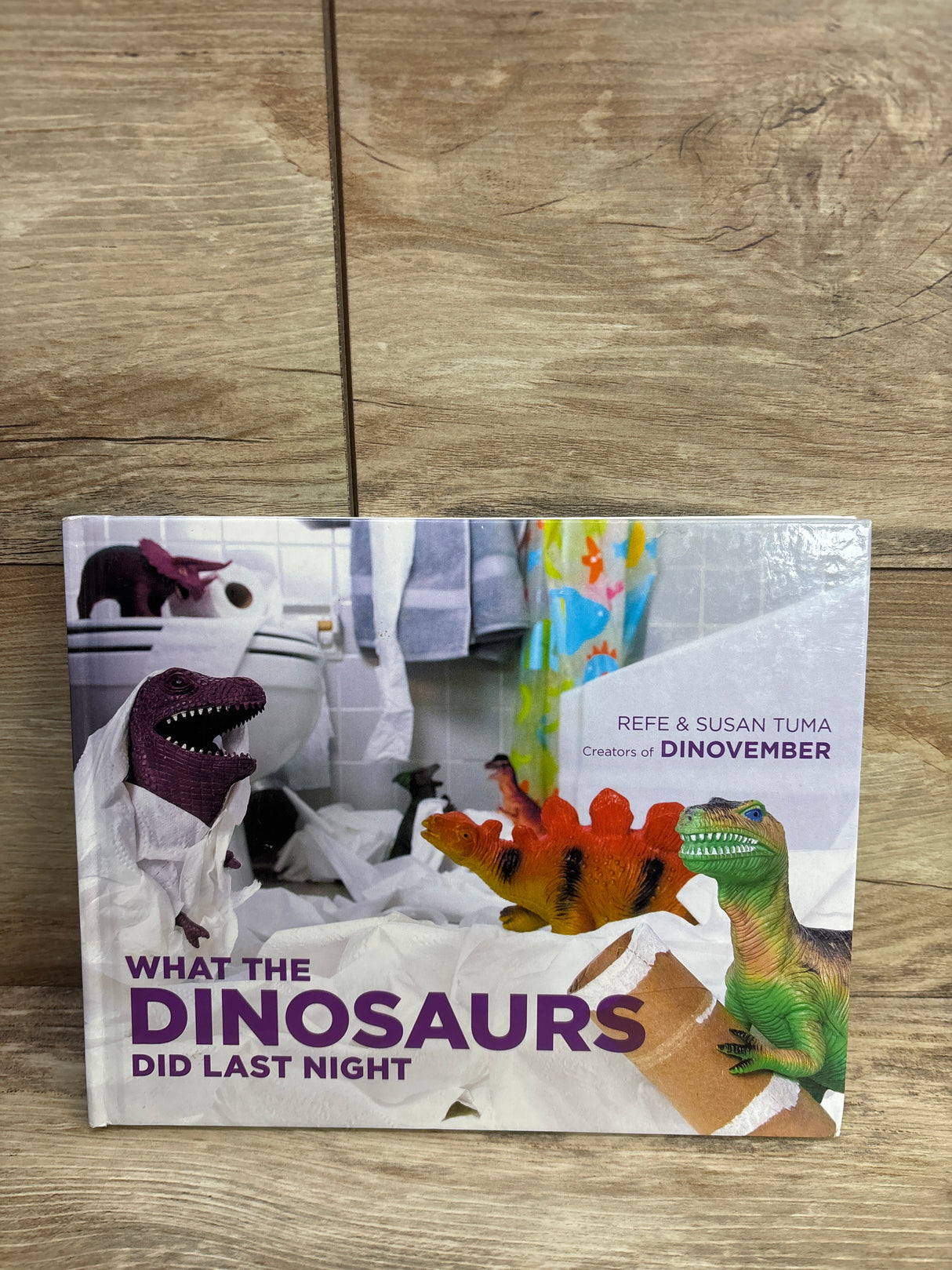 What the Dinosaurs Did Last Night Hardcover Book