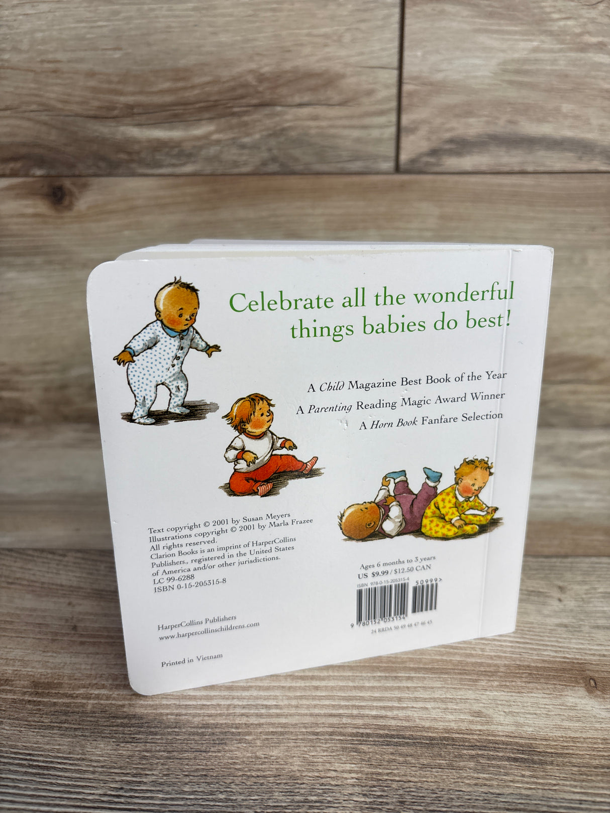 Everywhere Babies Board Book