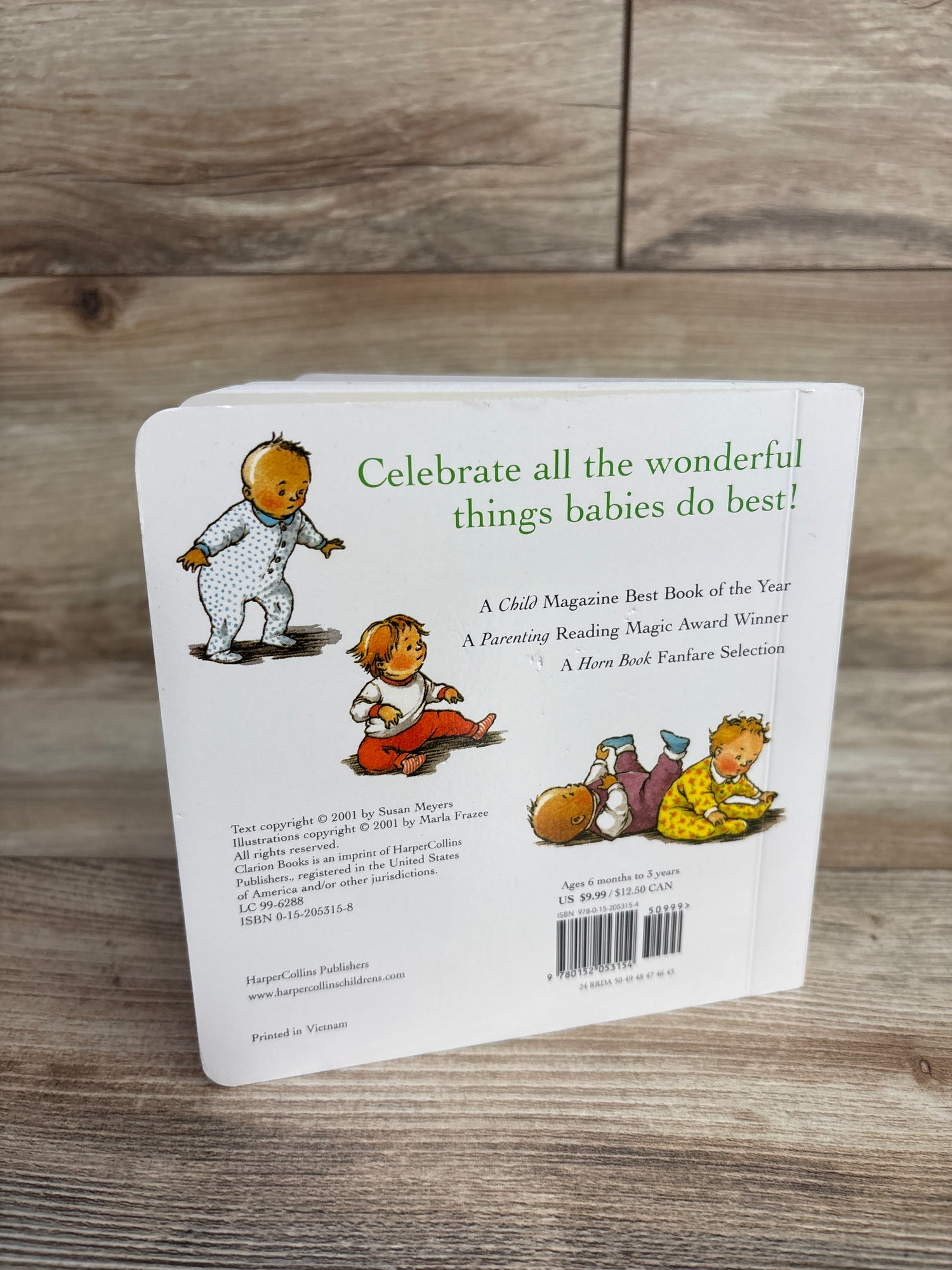 Everywhere Babies Board Book