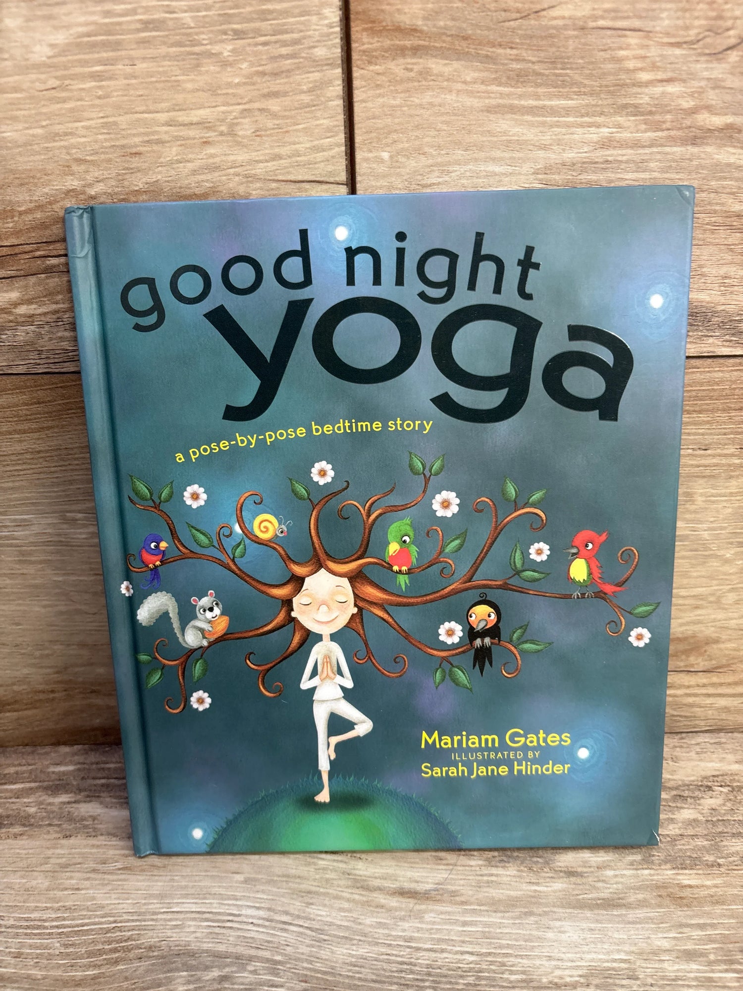 Good Night Yoga Hardcover Book