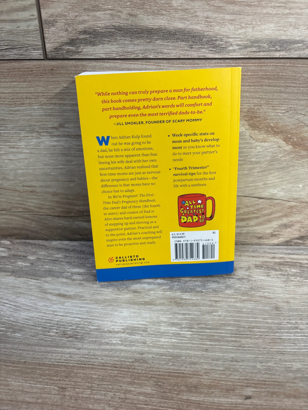 Back cover of We’re Pregnant! The First Time Dad’s Pregnancy Handbook Paperback Book with pregnancy and newborn guidance
