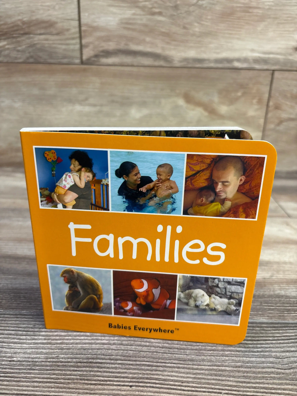 Front view of Families (Babies Everywhere) board book with orange cover showing photos of parents and baby animals on a wood-grain surface
