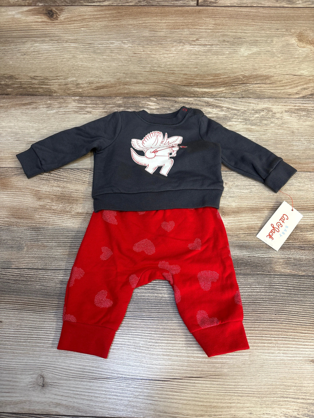 NEW Cat & Jack 2pc Dino Cupid Sweatshirt Set Grey sz Newborn