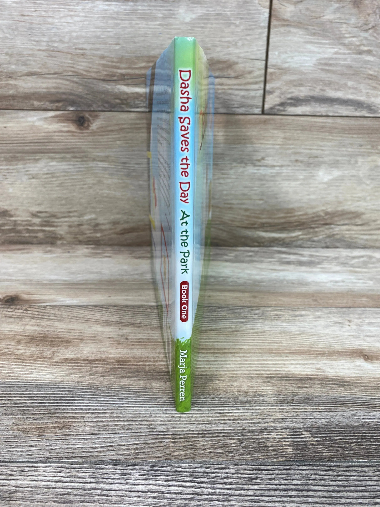 NEW Dasha Saves the Day: At the Park By Marja Perren Hardcover Book - Me n Mommy To Be