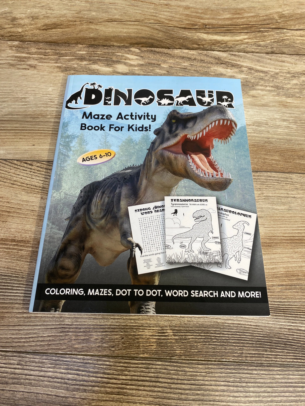 Dinosaur Maze Activity Book - Me n Mommy To Be