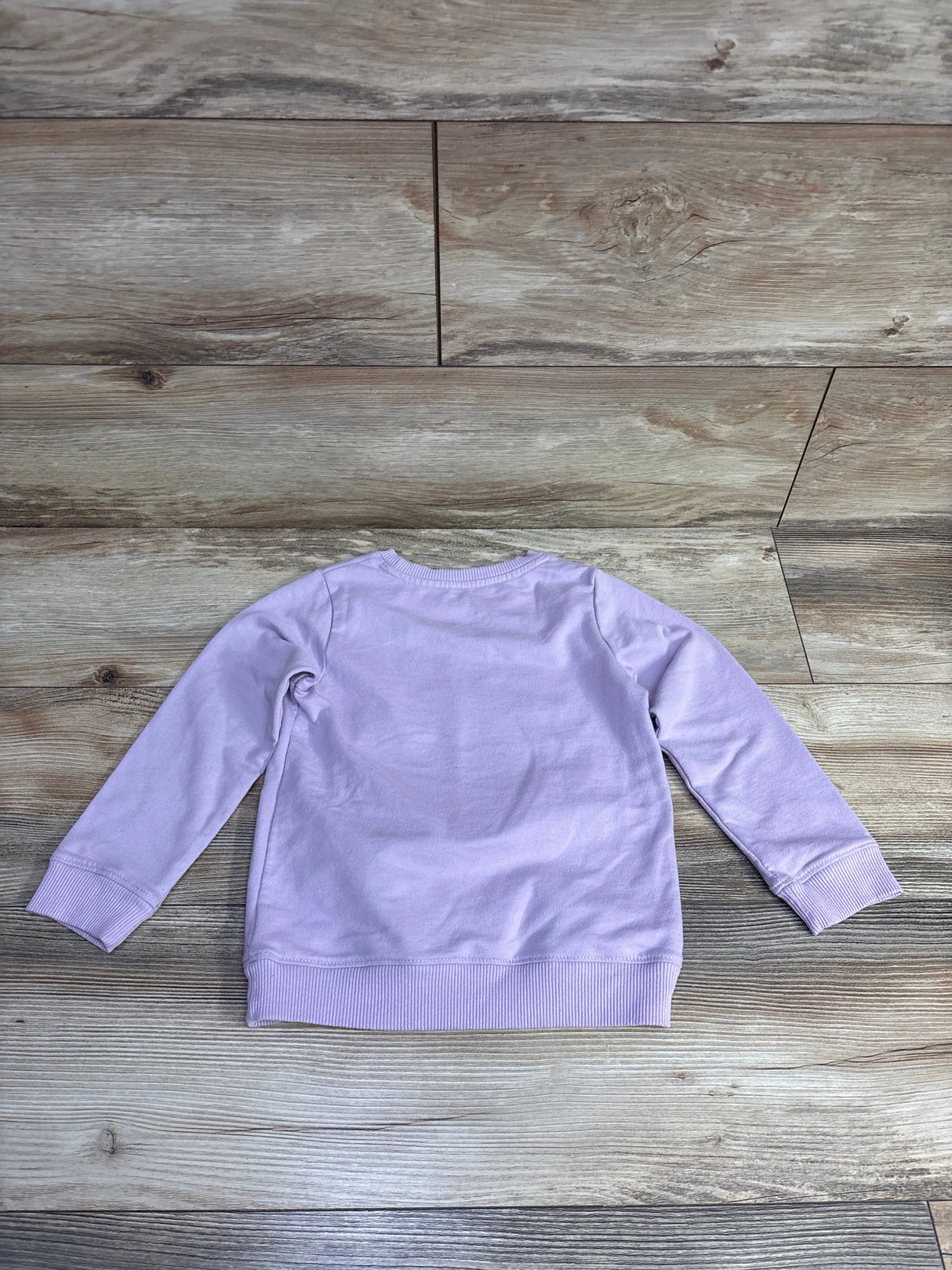 Disney Princess Never Stop Dreaming Sweatshirt Lilac sz 5T