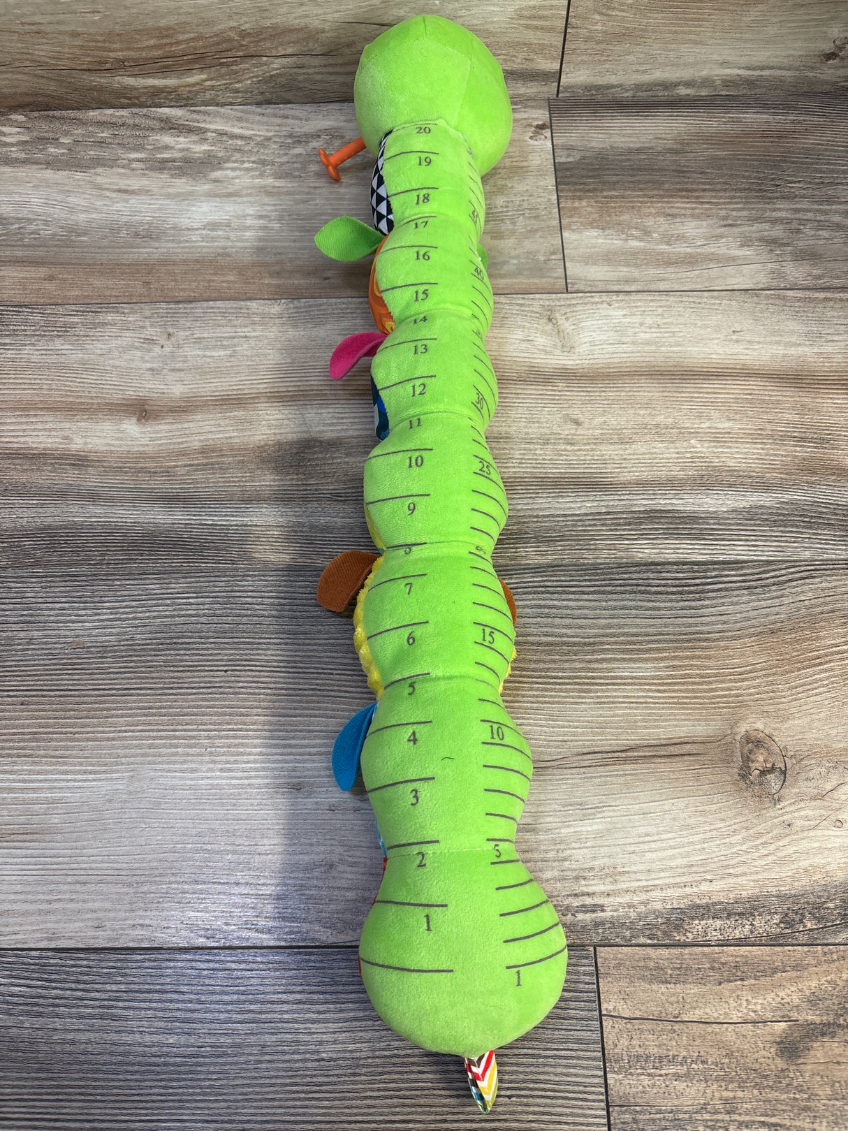 Sumobaby Multi-Sensory Caterpillar Green