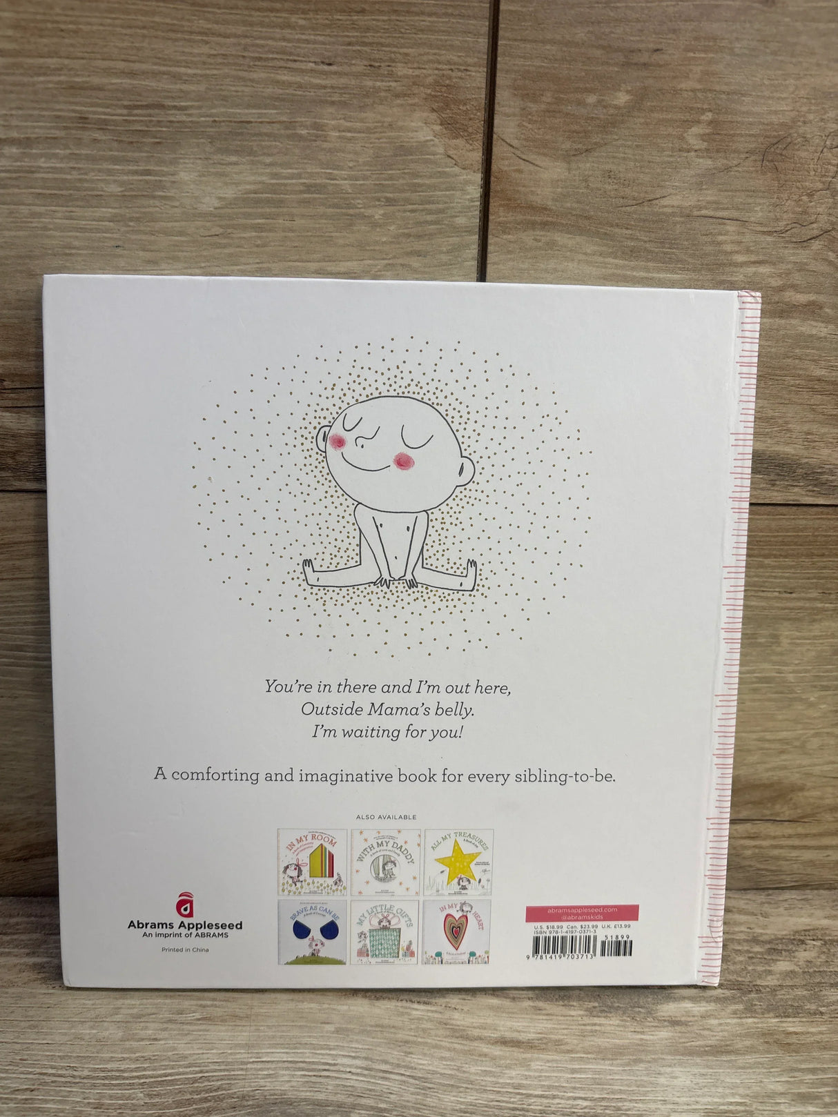 Back cover of Hello in There! hardcover children's book with baby illustration, blurb text and publisher logo on wood