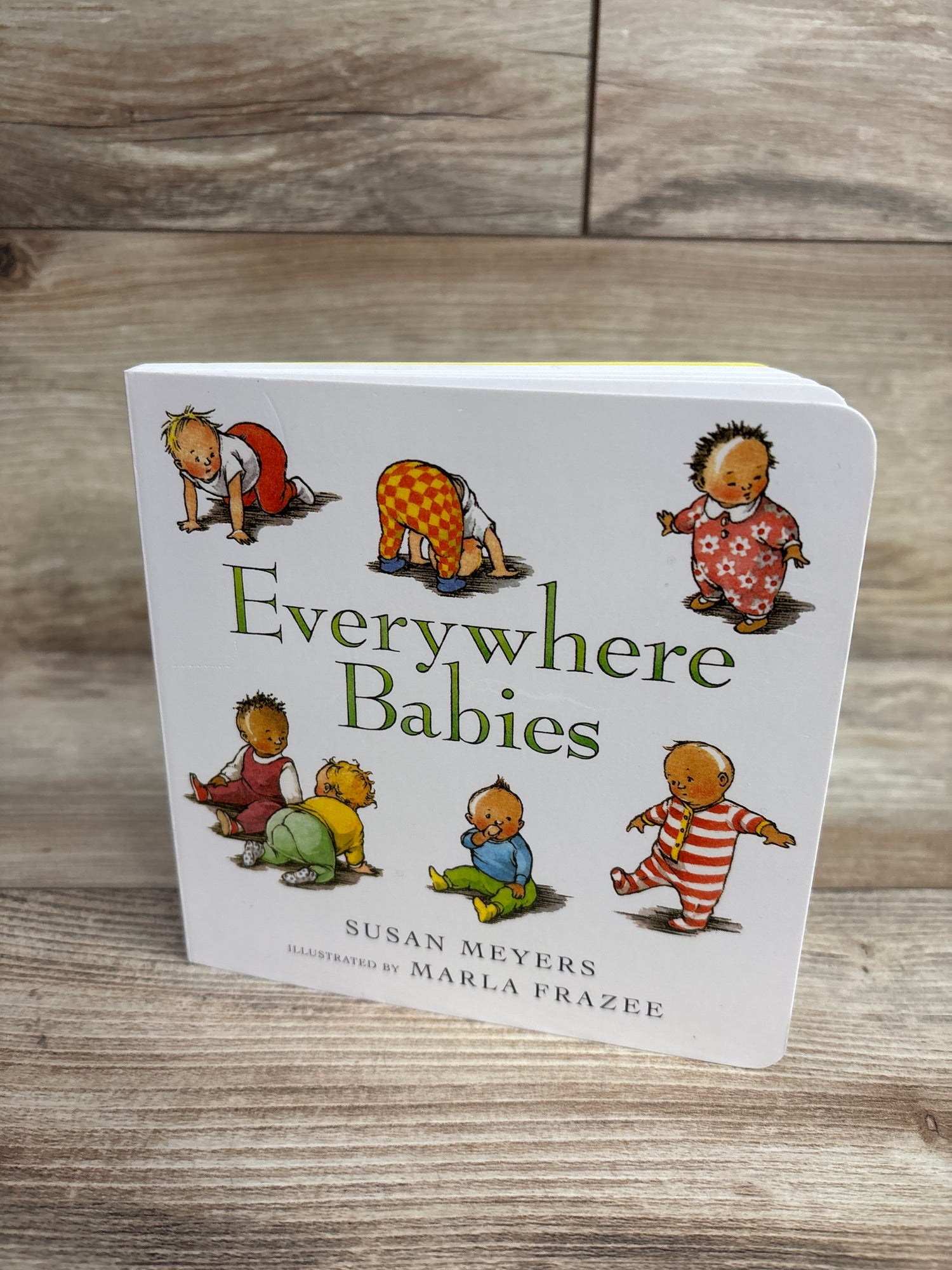 Everywhere Babies Board Book