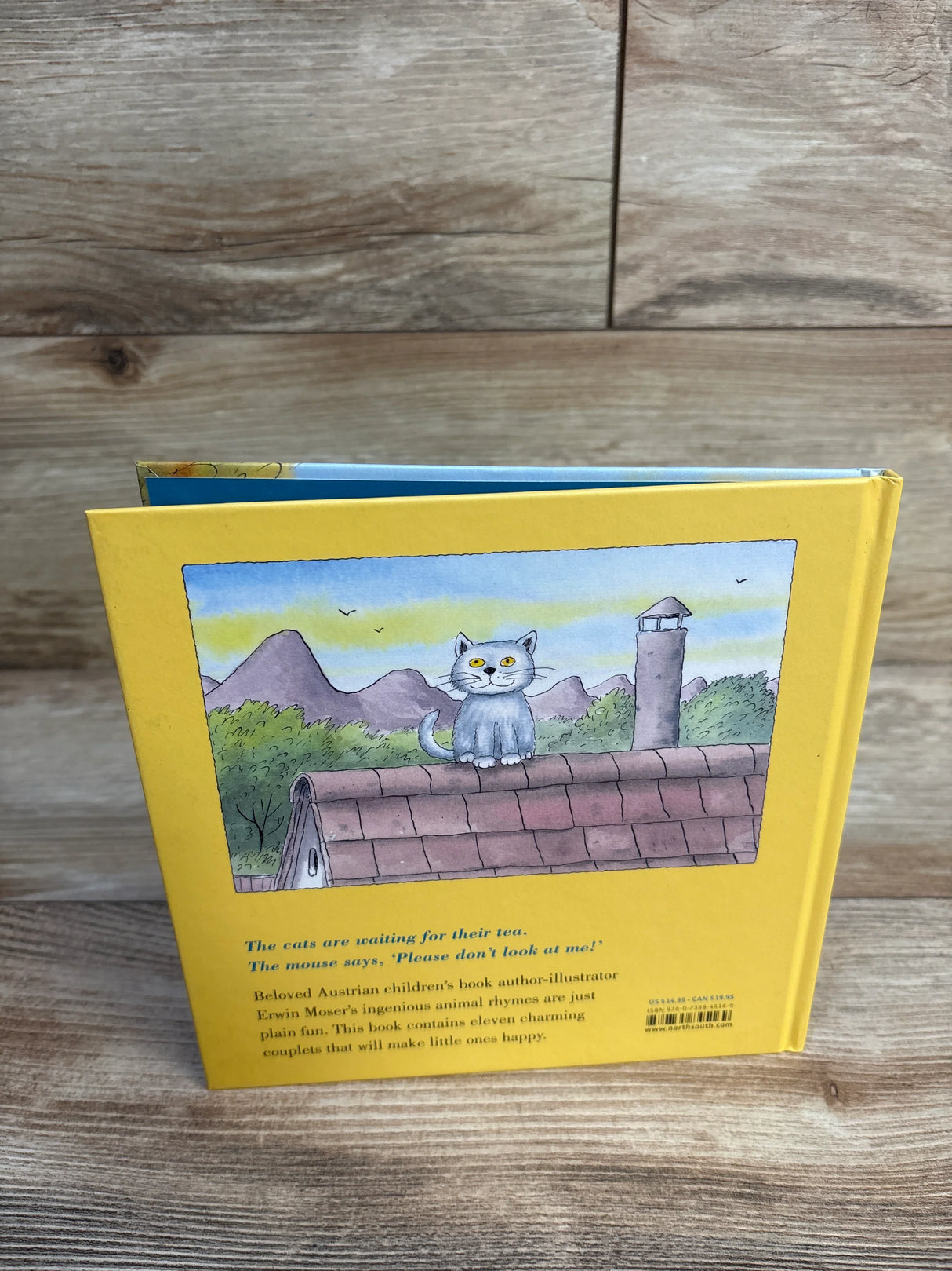 What Cat Likes Best Hardcover Book