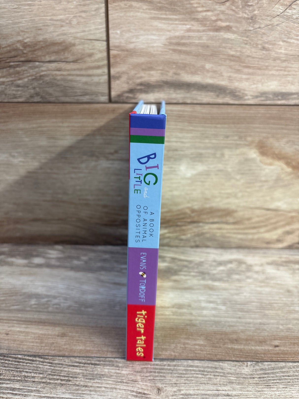 Big and Little: A Book of Animal Opposites Board Book