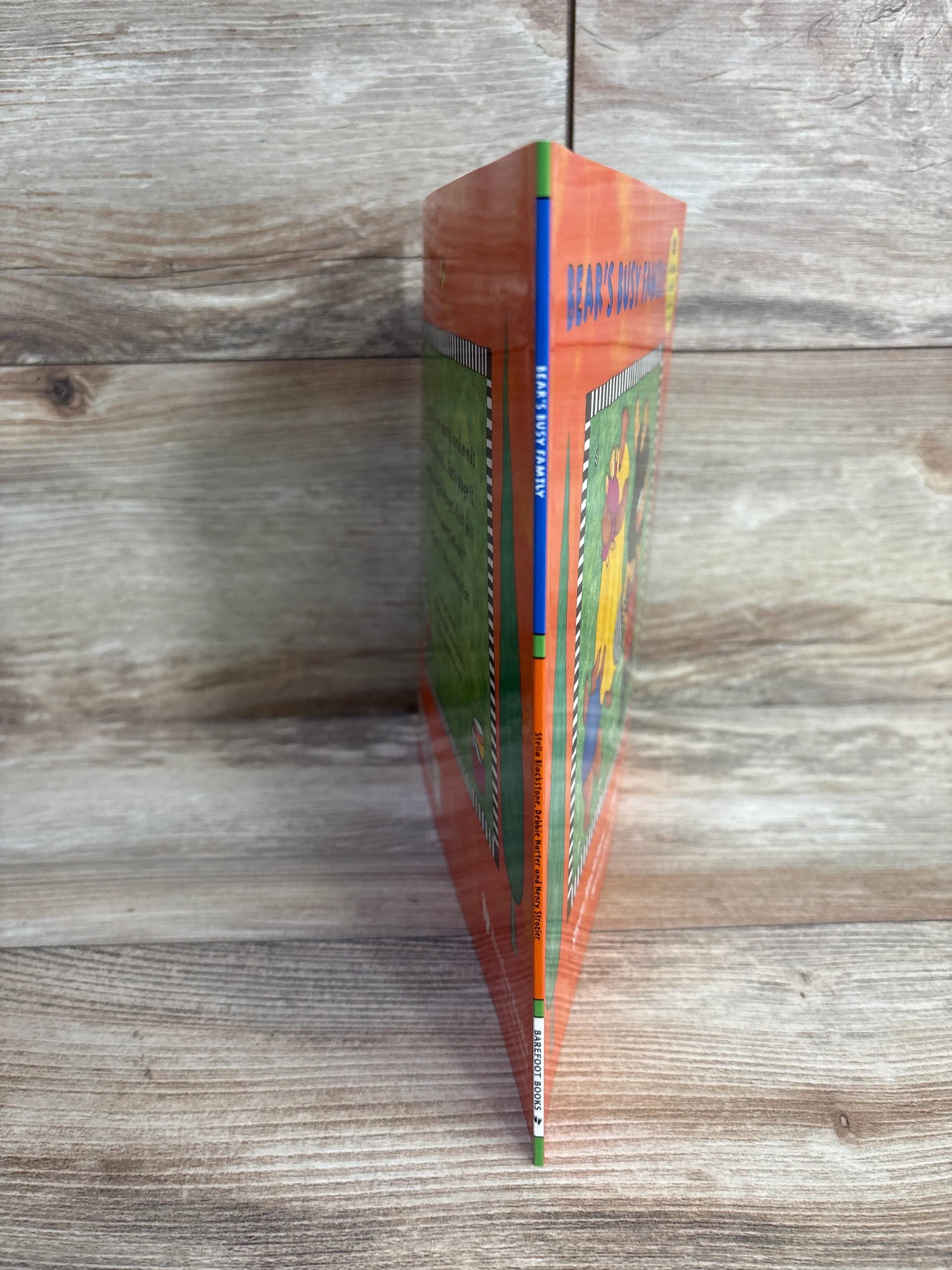 Bear's Busy Family Paperback Book