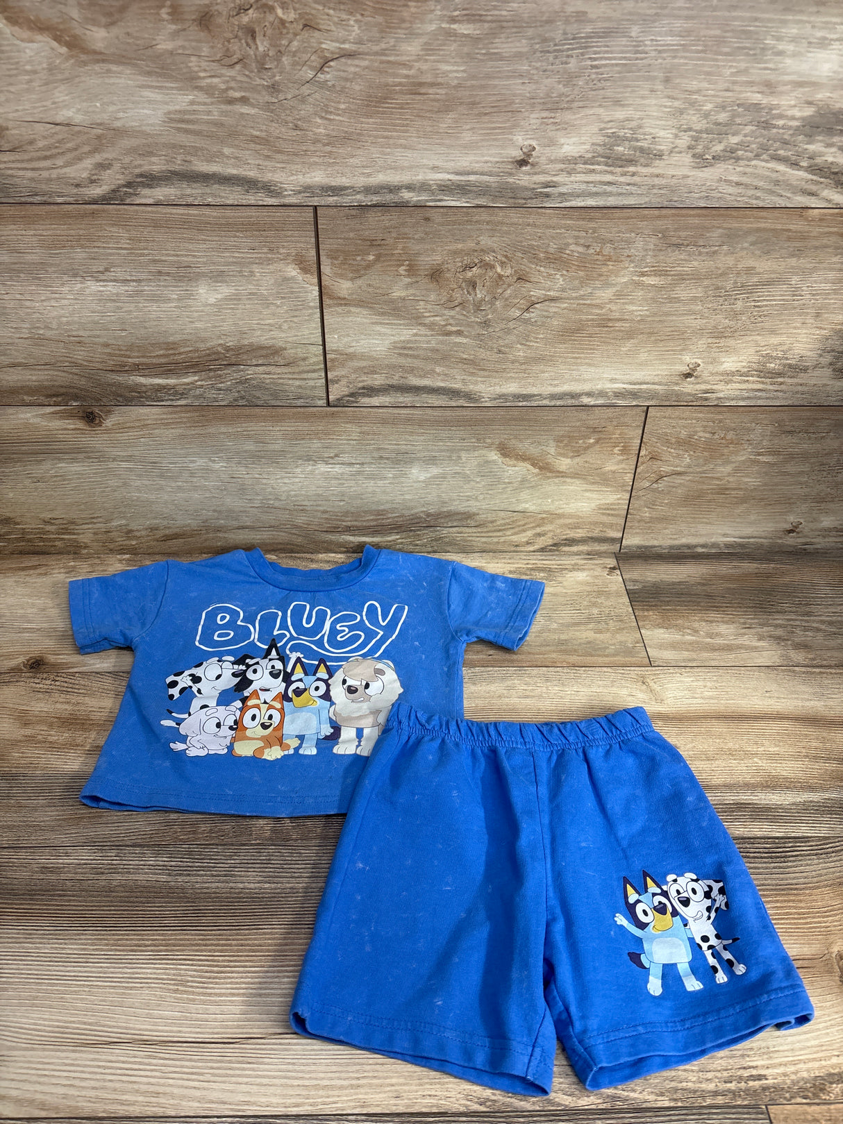 Bluey 2pc Character Shirt & Bottoms Set Blue sz 2T