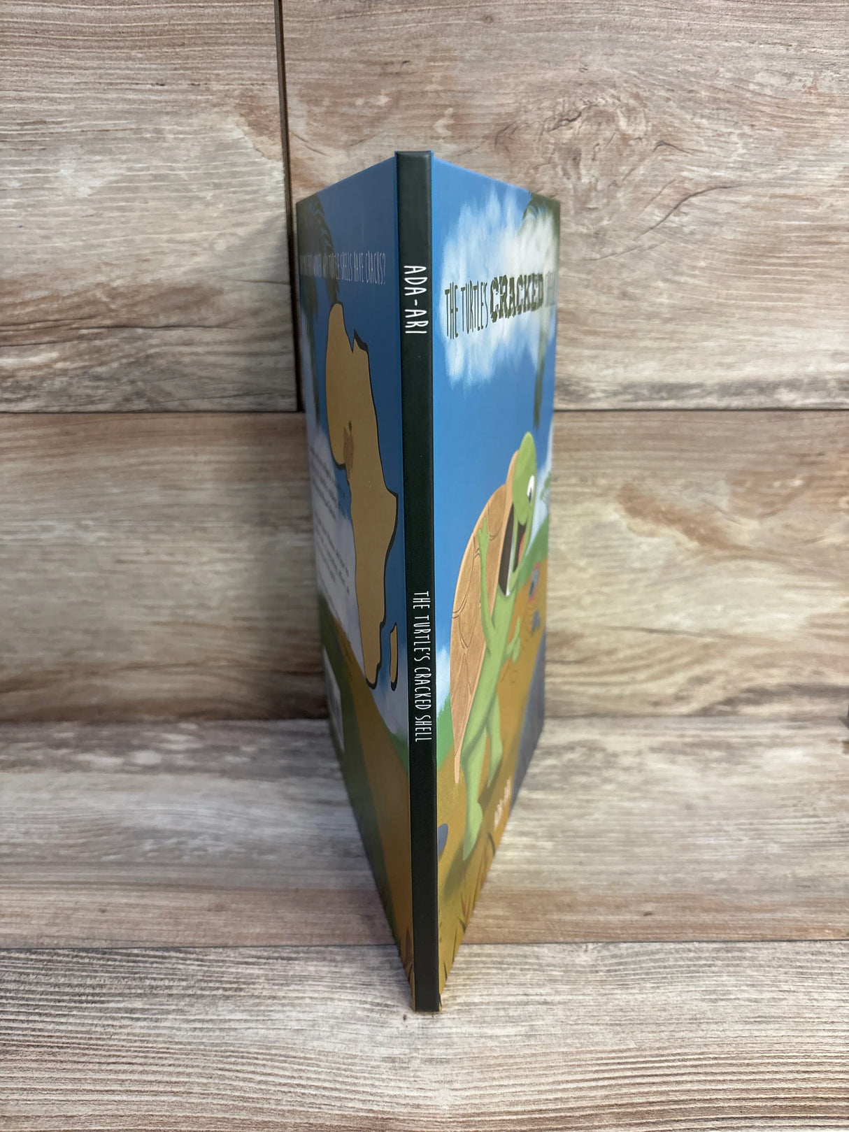 The Turtle's Cracked Shell: An Mbekwu Story Hardcover Book - Me n Mommy To Be