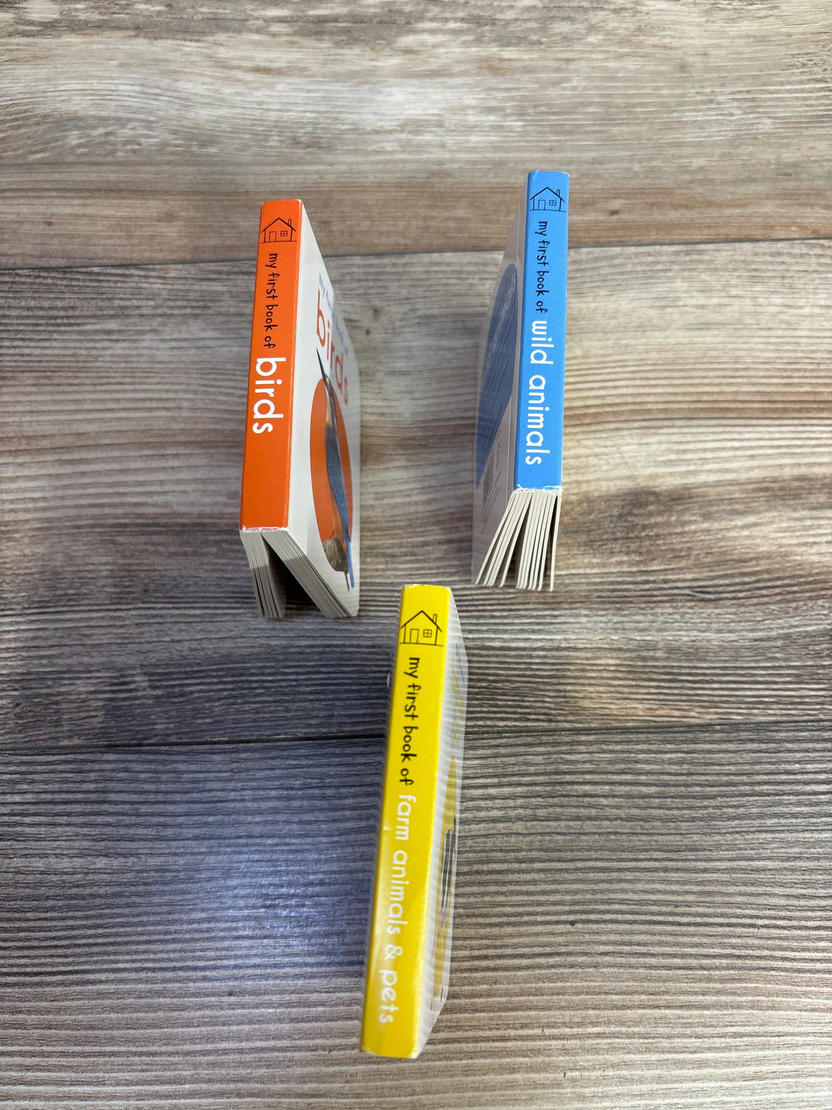 My First Book of, 3pk Board Books