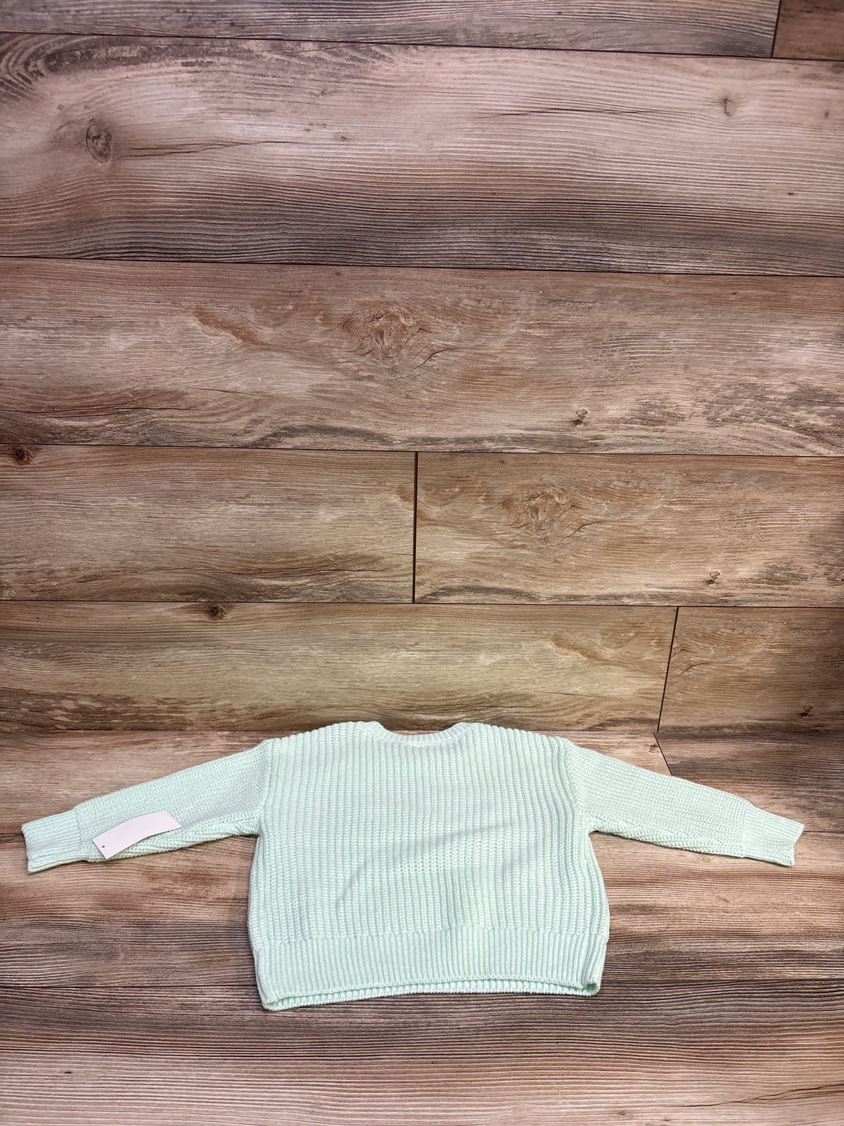 NEW Bluey Embroidered Strawberry Knit Sweater Mint Green sz 3T