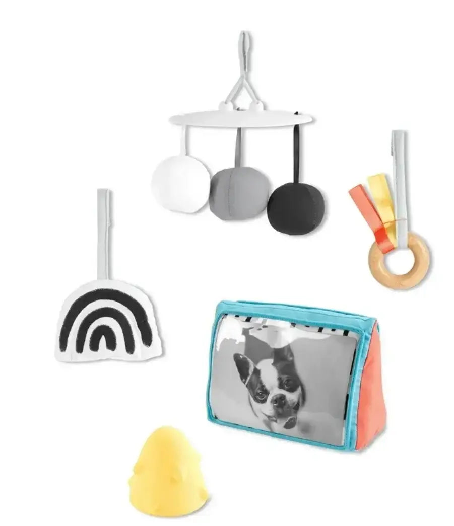 Skip Hop play gym accessories: hanging mobile, black-and-white rainbow, wooden ring, turquoise pouch on white background