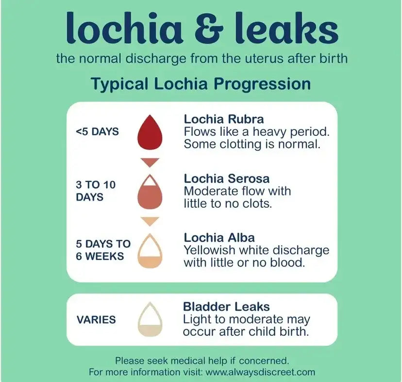 Always Discreet Postpartum Pads infographic explaining typical lochia progression stages Rubra Serosa Alba and bladder leaks on green background