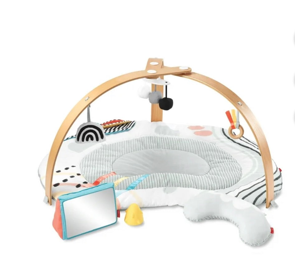 NEW Skip Hop Discoverosity Play Gym