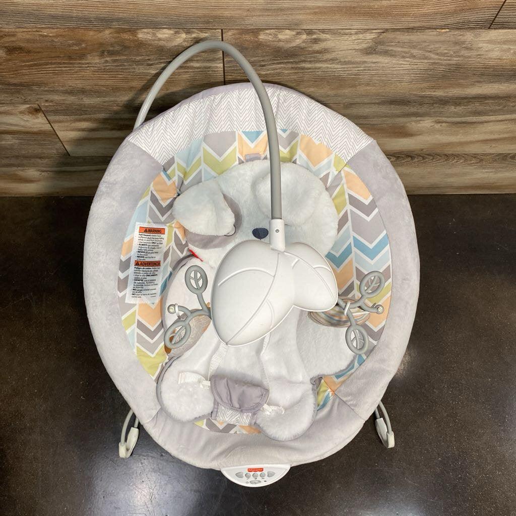Fisher Price Sweet Snugapuppy Dreams Deluxe Bouncer - Me 'n Mommy To Be