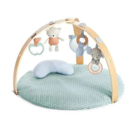 NEW Ingenuity Cozy Spot Reversible Duvet Activity Gym in Loamy - Me 'n Mommy To Be