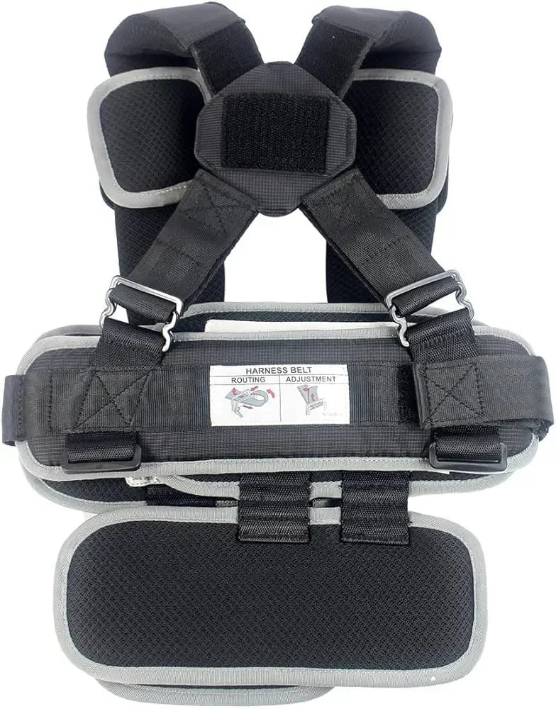 RideSafer Lightweight, Compact, Portable Car Seat in Black Small