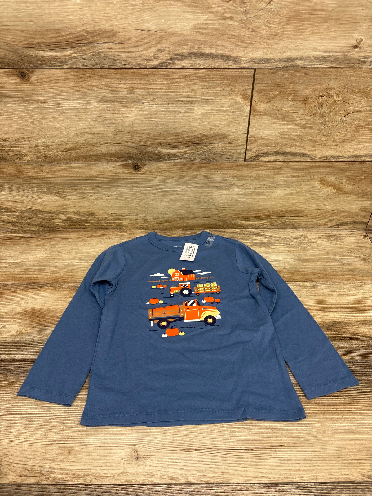 NEW Children's Place Pumpkin Patch Shirt Blue sz 5T