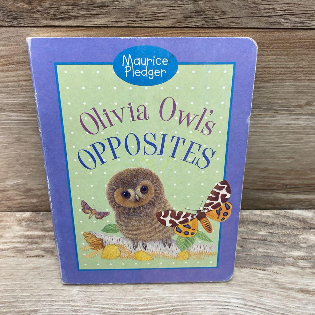 Olivia Owl's Opposites Board Book - Me 'n Mommy To Be