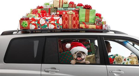 Bulldog in a Santa hat leaning from an SUV window while the roof and interior are loaded with wrapped Christmas presents