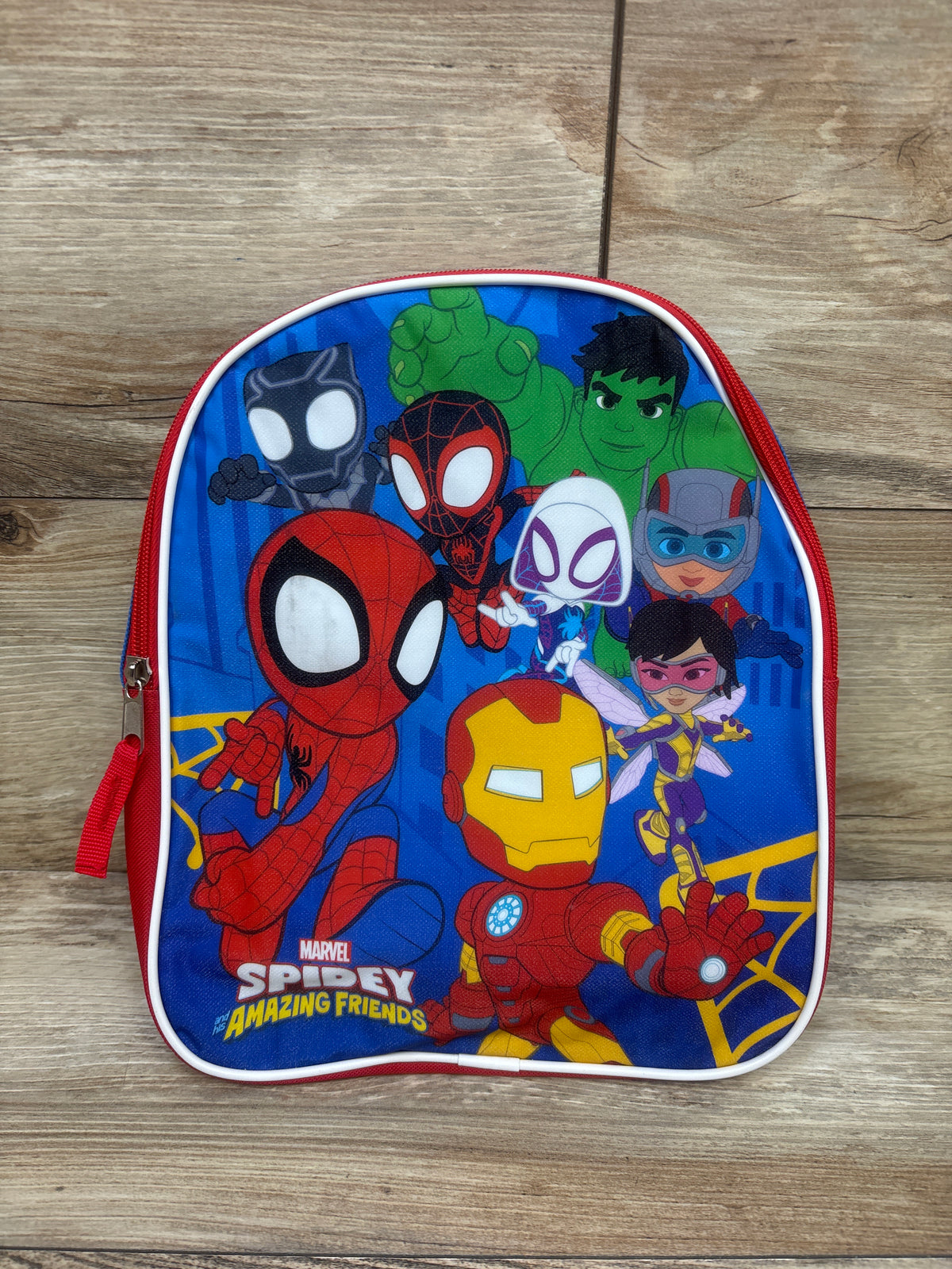 Marvel Spidey and His Amazing Friends Mini Backpack