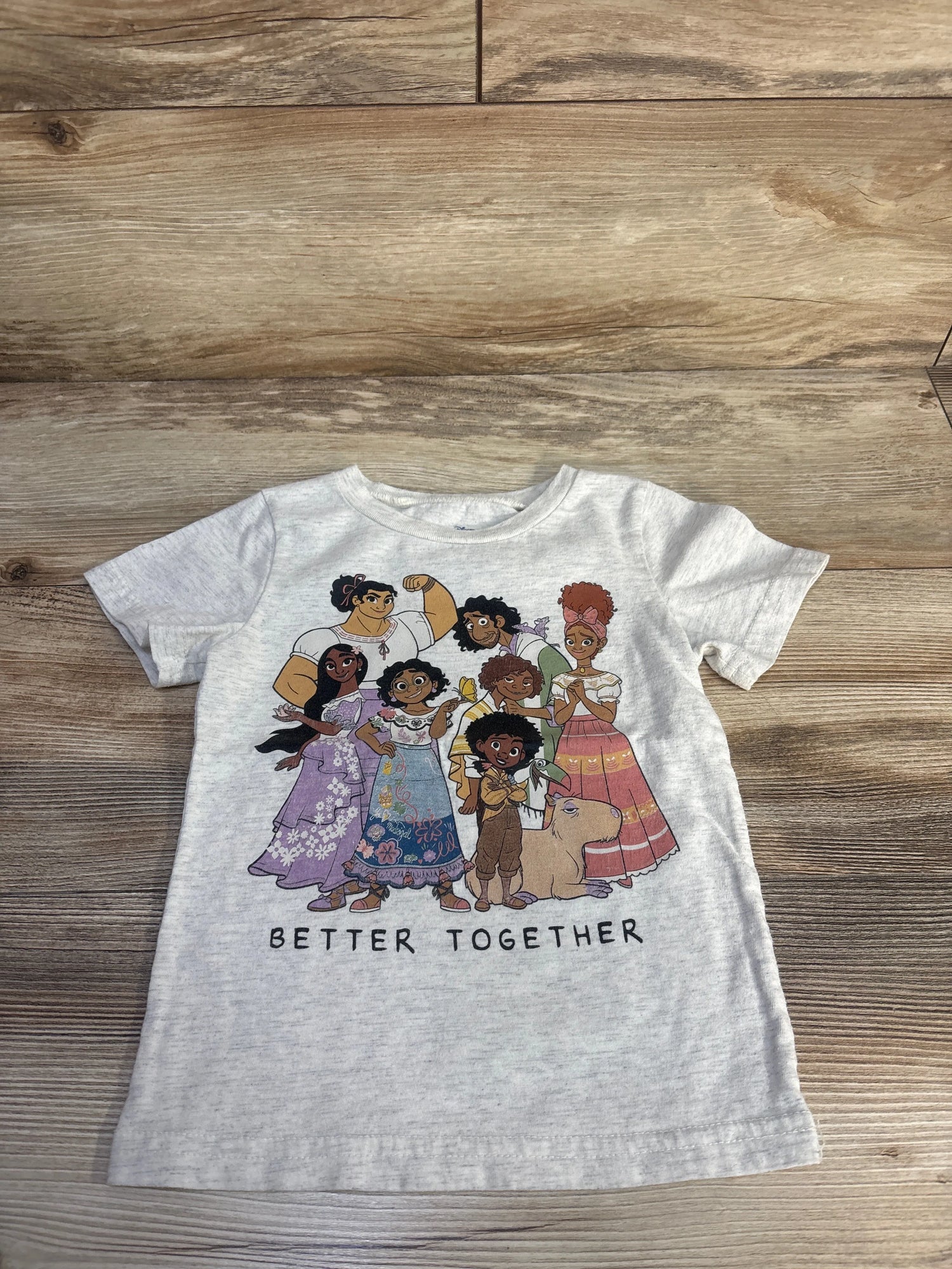 Disney Encanto Better Together Shirt Grey sz 3T