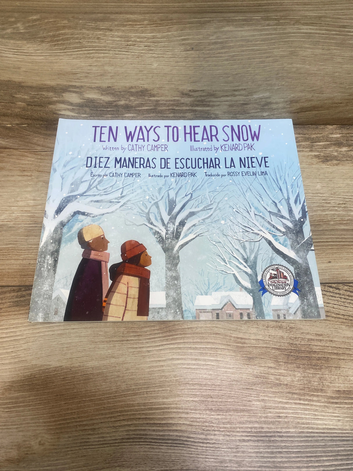 Ten Ways to Hear Snow Paperback Book