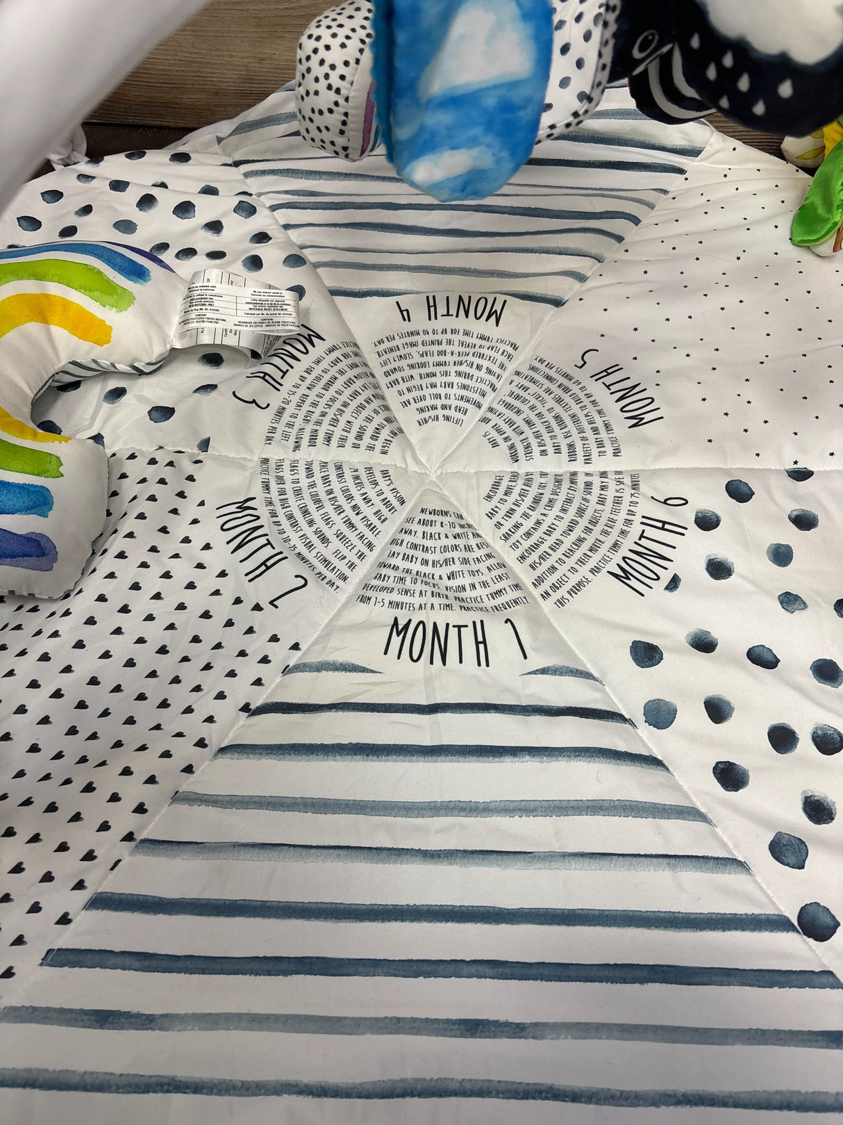 Sassy Stages STEM Developmental Activity Gym - Me n Mommy To Be