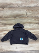 H&M Pullover Hoodie Grey sz 2T