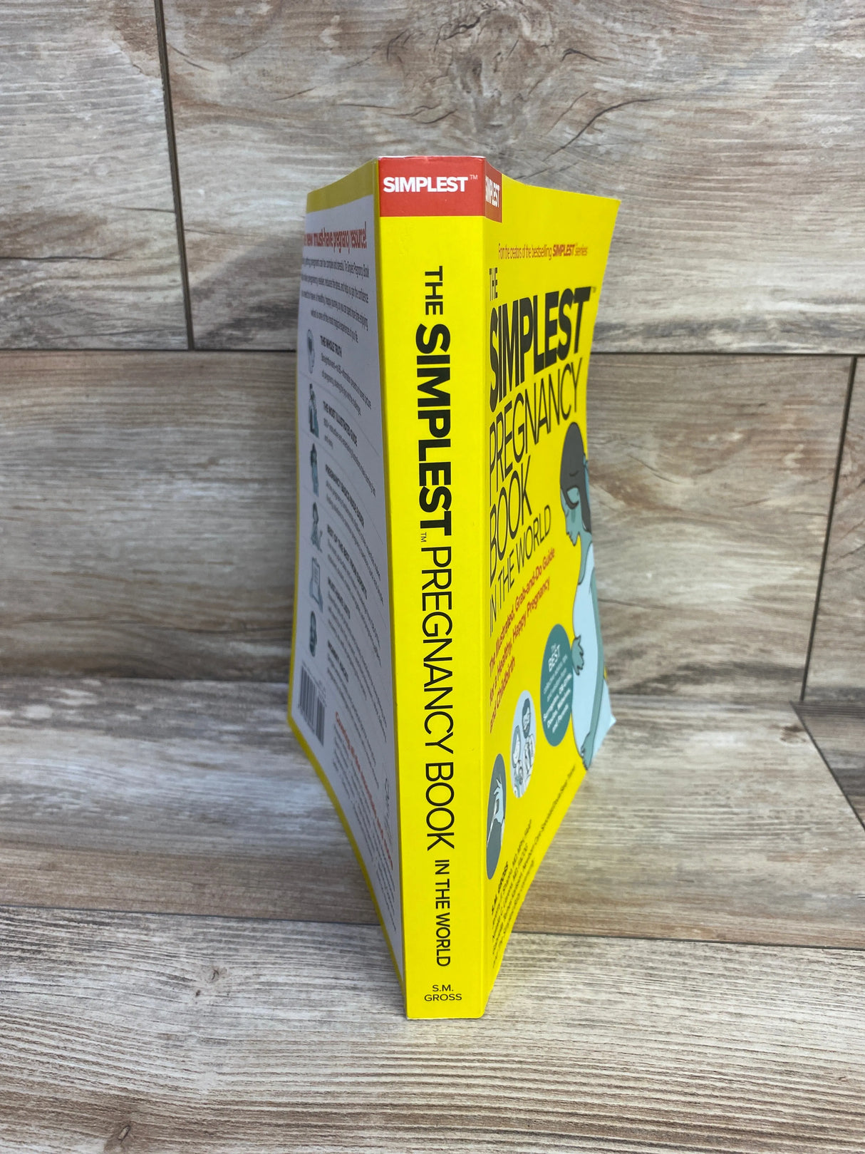 The Simplest Pregnancy Book in the World Paperback Book