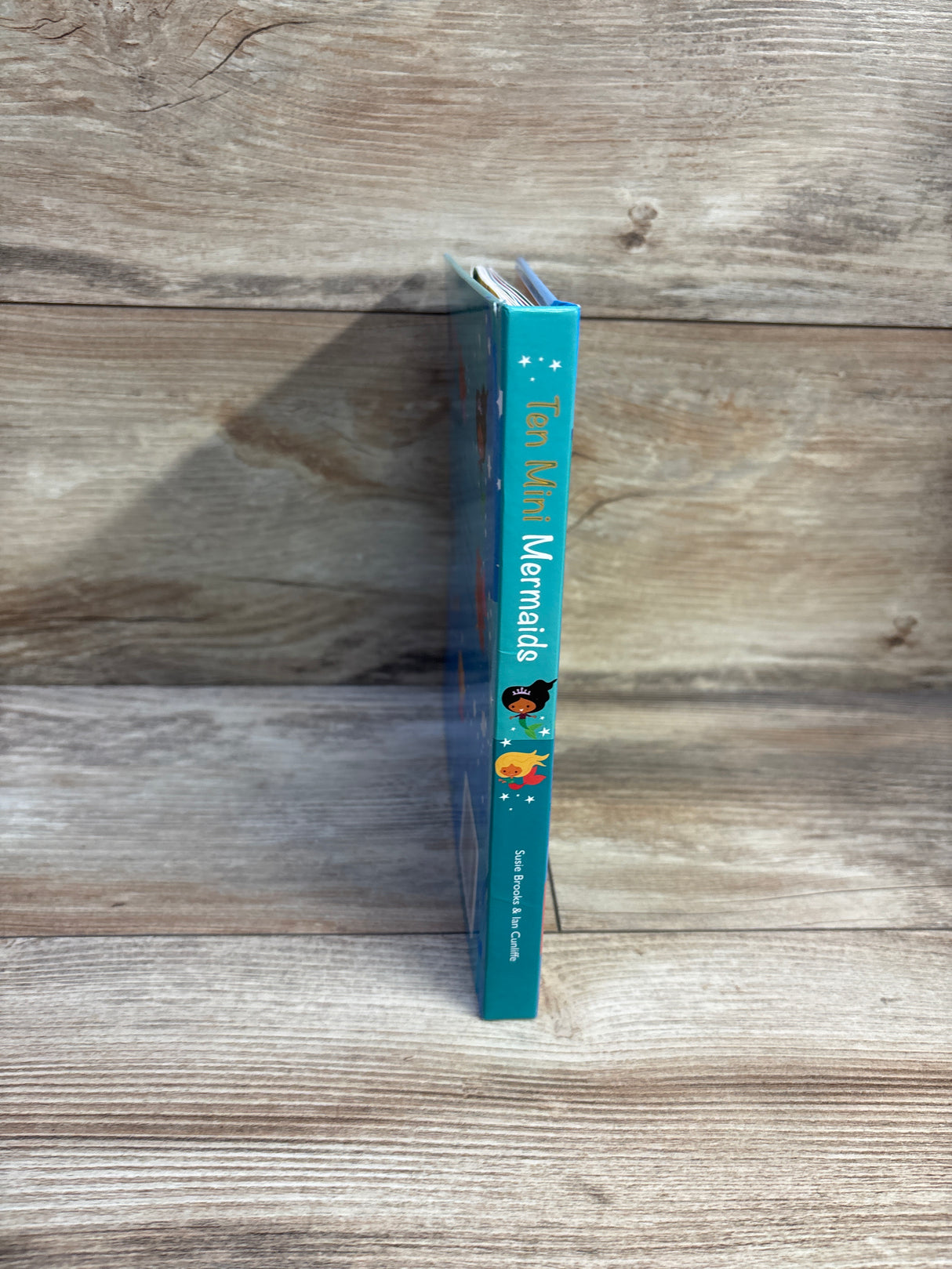 Ten Mini Mermaids Board Book