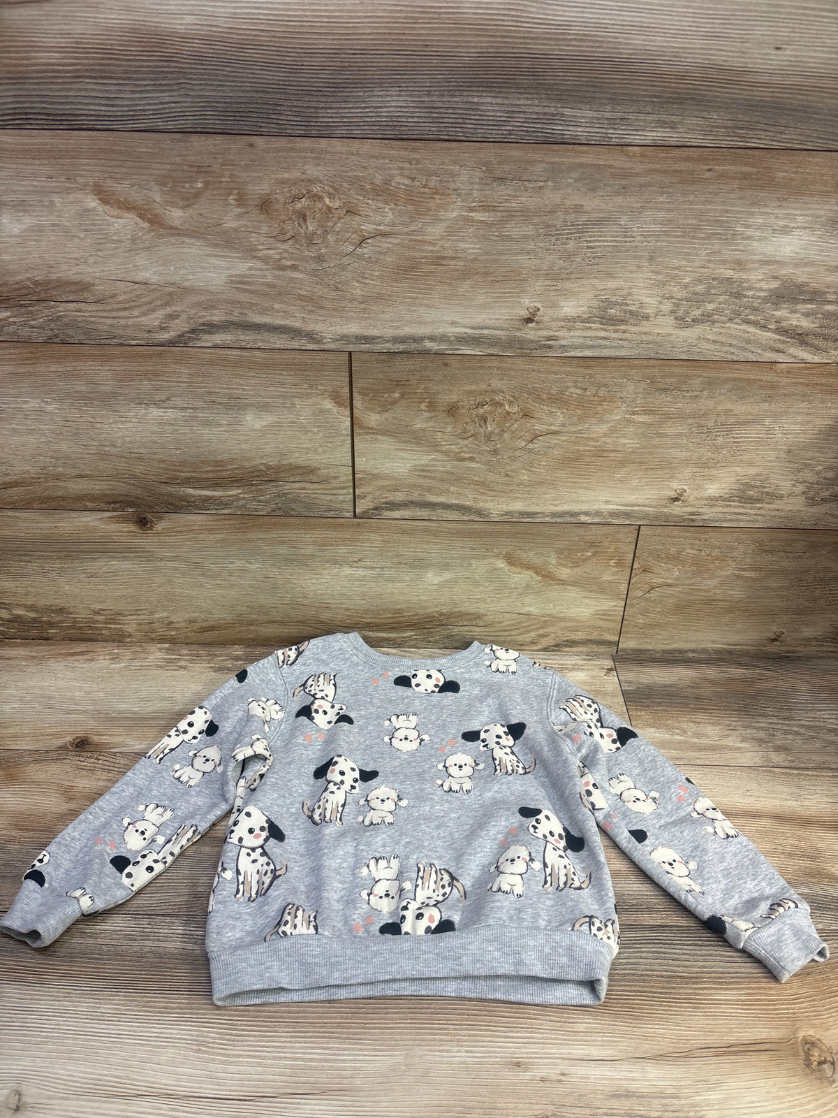 H&M Pullover Dog Print Sweatshirt Grey sz 5/6T